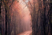 江南体育娱乐官网:WTT法兰克福冠军赛:王艺迪4:0王曼昱夺冠人民日报微博.