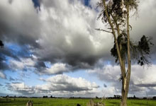 江南体育娱乐官网:国乒将出征2024年WTT总决赛,主教练介绍队员近况人民日报客户端.