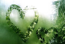 爆料广东队有望签约NBA顶级外援,季后赛前搞把大的.