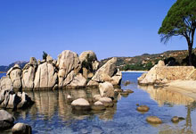 记者:若阿拉巴和米利唐愿意留队,皇马会为他们留出位置.